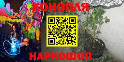 сатива Братск