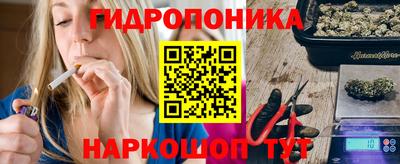 сатива Братск