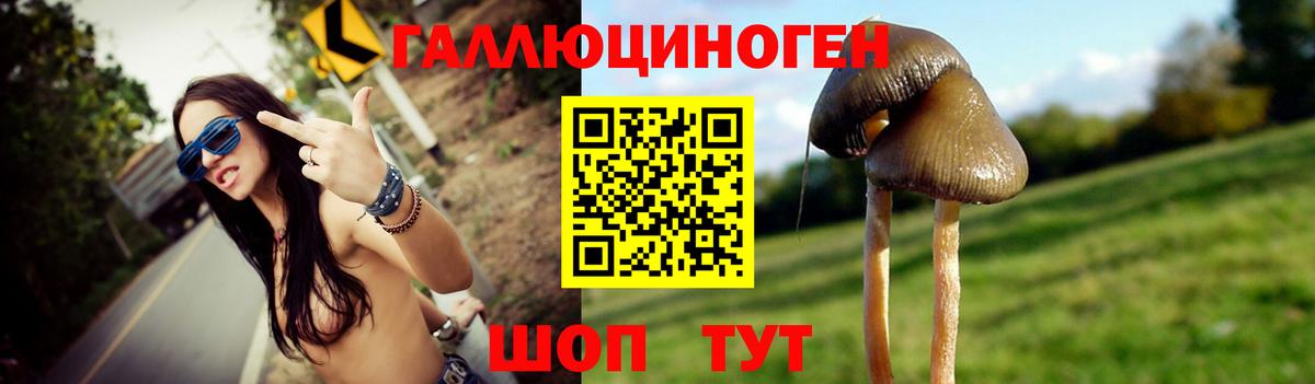 купить наркоту  Галлюциногенные грибы прущие грибы  Вход с VPN  Клинцы 