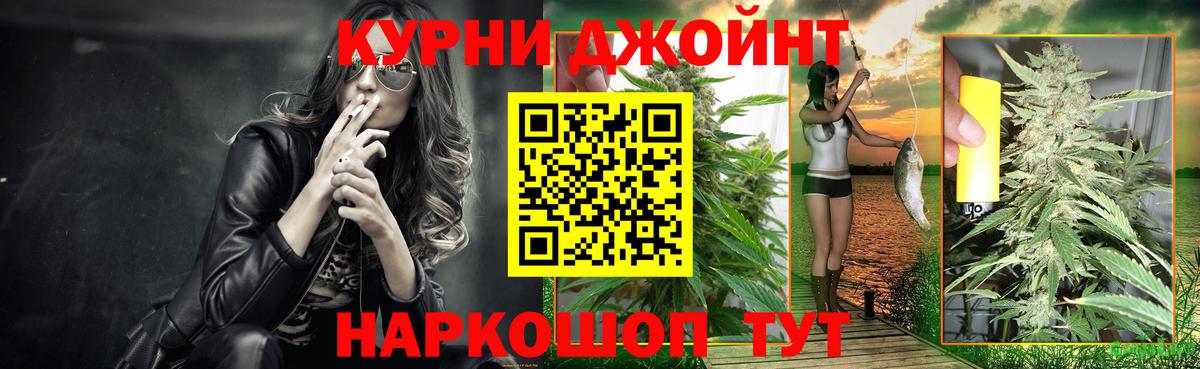 Конопля марихуана  Канабис тримм  Клинцы  Вход с VPN  Канабис OG Kush 